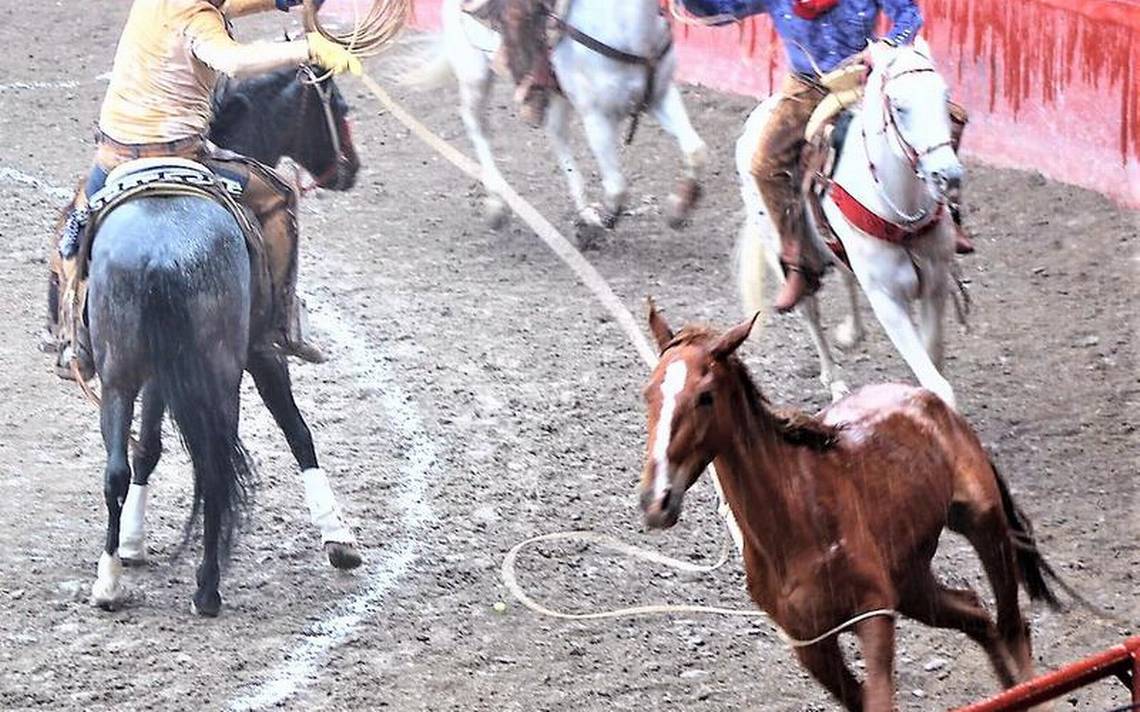 Campeonato Estatal Charro DURANGO, 2023 - Traditional Sports