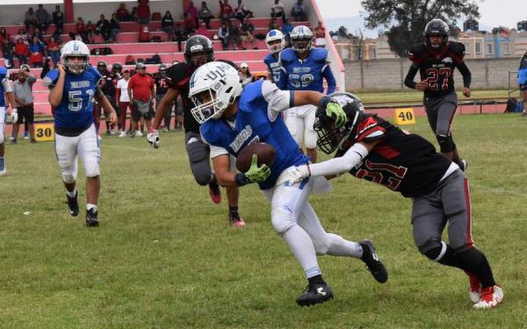 muerden los bulldogs americanos