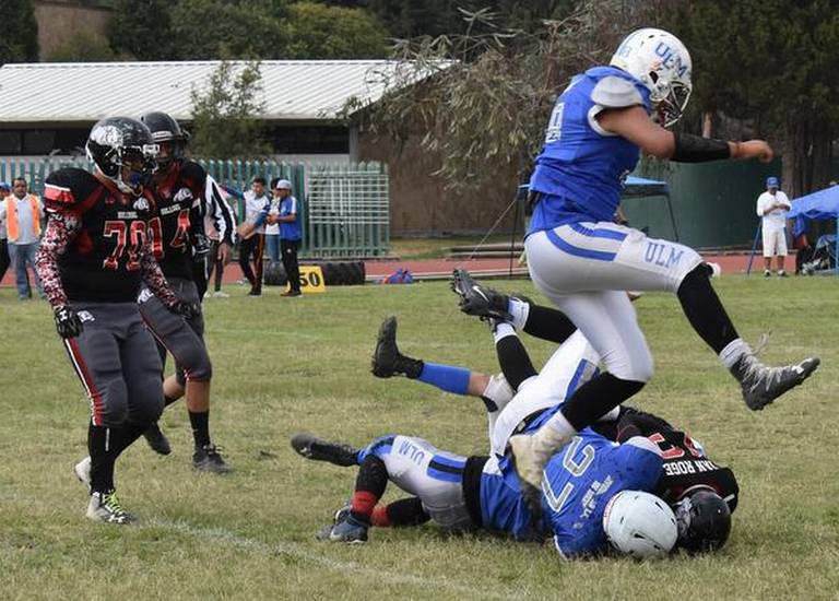 muerden los bulldogs americanos