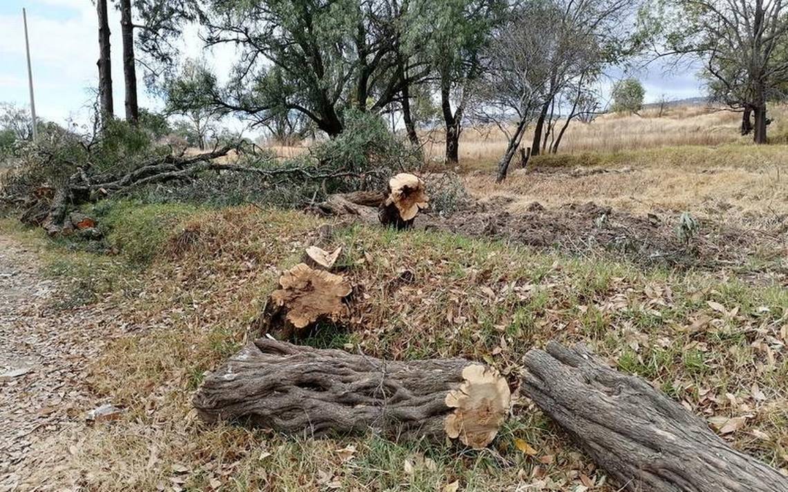 Ayuntamiento de Tlaxcala pide denunciar daños al ambiente - El Sol de  Tlaxcala | Noticias Locales, Policiacas, sobre México, Tlaxcala y el Mundo