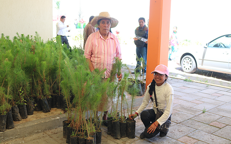 Aprovechan temporada de lluvias para reforestar, en Chiautempan - El Sol de  Tlaxcala | Noticias Locales, Policiacas, sobre México, Tlaxcala y el Mundo