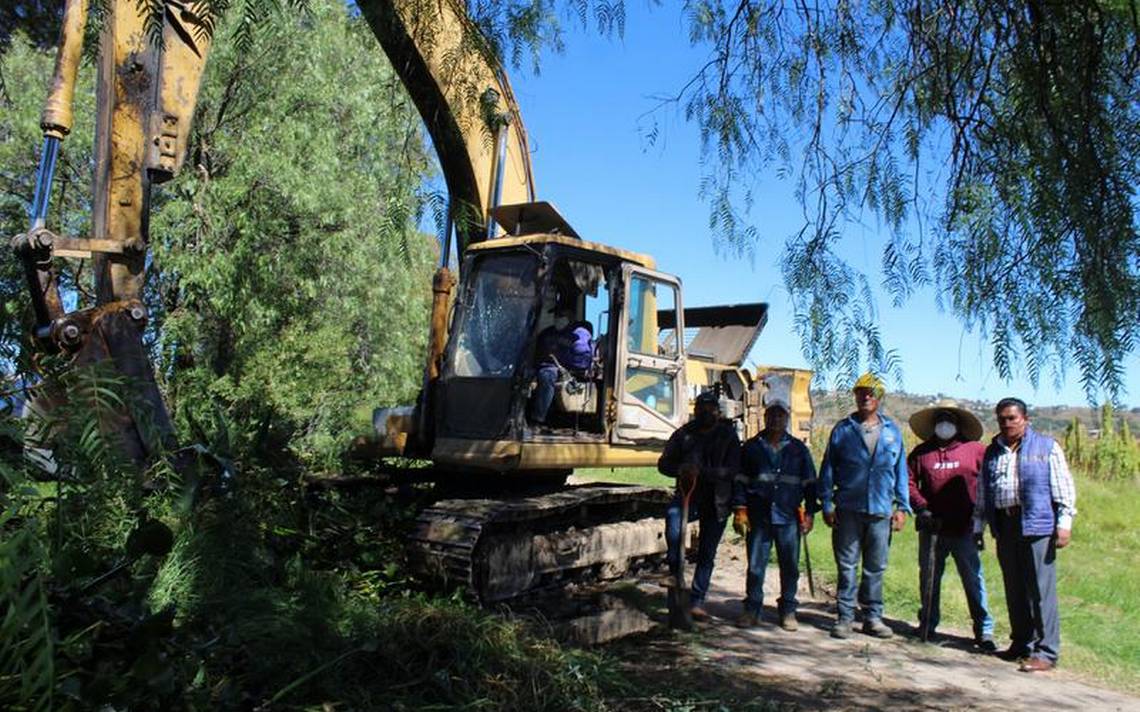 Retiran lirio acuático en barranca de Santa Apolonia Teacalco - El Sol de  Tlaxcala | Noticias Locales, Policiacas, sobre México, Tlaxcala y el Mundo