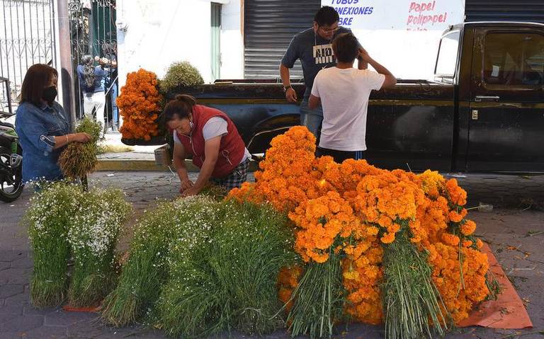 Registraron floristas ventas “generosas” - El Sol de Tlaxcala | Noticias  Locales, Policiacas, sobre México, Tlaxcala y el Mundo