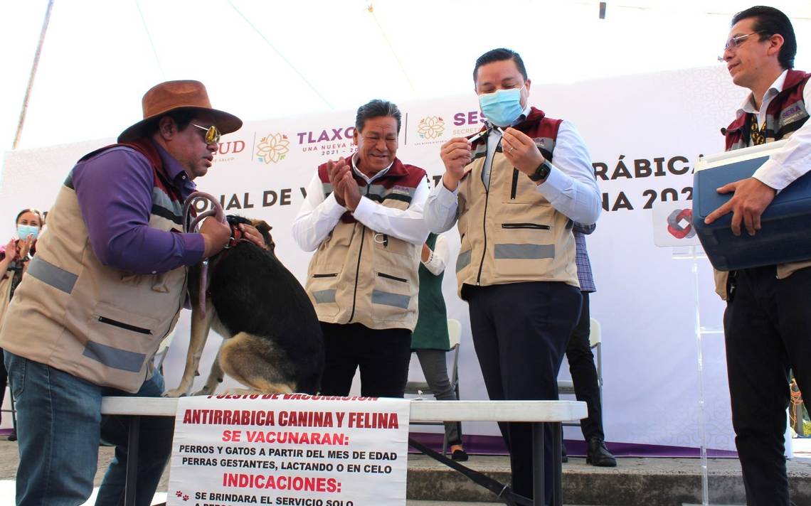 Tlaxcala enhances Vaccination Day for rabies in the healthcare industry